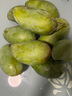 三亞芒果  海南芒果新鮮水果生鮮整箱當(dāng)季大青皮芒 熱帶孕婦芒果 10斤裝(凈果8.5-9斤)單果250g+ 曬單實(shí)拍圖