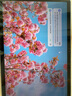 聯(lián)想小新平板11 2.5K護(hù)眼超清大屏 天璣6300AI平板電腦 旗艦性能AI伴學(xué) 8+128G WIFI 天青藍(lán) 曬單實(shí)拍圖