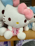 凱蒂貓（hellokitty）三麗鷗KT貓毛絨玩偶玩具抱枕娃娃七夕情人節女生日禮物高級小眾 曬單實(shí)拍圖