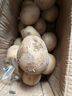 恩施小土豆新鮮馬鈴薯農(nóng)家黃心洋芋現(xiàn)挖蔬菜馬鈴薯 5斤 中果 雞蛋大小左右 曬單實拍圖