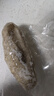 三只海豚 即食海參 大連鮮食刺參單個(gè)裝 高品質(zhì)遼刺參13-17只固形物≥60% 曬單實(shí)拍圖