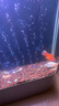 魚(yú)美軒金魚(yú)缸客廳小型家用立式自循環(huán)過(guò)濾一體生態(tài)玻璃小魚(yú)缸免換水族箱 純白色（有電梯送貨入戶(hù)） 長(zhǎng)100*寬40*高138CM 曬單實(shí)拍圖
