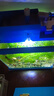 森森HR/HE480小魚(yú)缸 led燈水族箱生態(tài)造景水草照明防水燈 HR-230圓形 藍(lán)白色 9顆燈珠 4W 曬單實(shí)拍圖