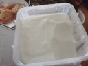 天潤（TERUN）新疆特產(chǎn) 低溫生鮮酸奶家庭分享桶裝  2KG*1桶 曬單實(shí)拍圖