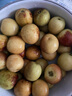 【農(nóng)戶直通車(chē)】小糖丸大荔冬棗1kg 曬單實(shí)拍圖