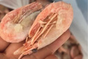 美加佳頭籽熟凍北極甜蝦凈重3斤 90/120規(guī)格 頭籽率95% 熟凍甜蝦 曬單實(shí)拍圖