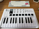 ARTURIAArturia 25鍵 MiniLab MK3 MKIII音樂編曲電音便攜控制器MIDI鍵盤 【新款3代 白色】+正版音色 曬單實拍圖