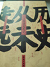 正版 歷史從未走遠 王立群讀史記  歷史類書籍 歷史與現(xiàn)實的對話中 洞察人性的復雜與多元 探討歷史的規(guī)律與價值 東方出版社 曬單實拍圖