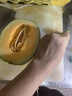 正宗哈密瓜西州蜜大果甜瓜新鮮采摘蜜瓜脆甜多汁整箱 哈密瓜1.5-2斤 曬單實(shí)拍圖
