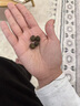 DR.BUNNY兔博士高效寵物化毛膏排毛膏 營養(yǎng)膏 木瓜排毛丸 兔子龍貓倉鼠用 dr371益生菌腸道養(yǎng)護(hù)草粉150g 曬單實拍圖