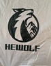 公狼HEWOLF帳篷戶(hù)外防雨過(guò)夜露營(yíng)自動(dòng)速開(kāi)折疊專(zhuān)業(yè)雙層抗風(fēng)防寒加厚野外野營(yíng) 小號雙層+防潮墊 曬單實(shí)拍圖