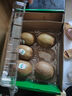佳沛（zespri）綠奇異果 優(yōu)選大果12粒單果約113-135g  水果禮盒 獼猴桃 曬單實拍圖