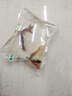 AIPHAROW金魚活體觀賞魚活體小金魚冷水魚金魚苗活體淡水國粹金魚寵物魚 3-5CM金魚隨機5條 曬單實拍圖