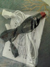 MPPMCK車(chē)載冰箱12v24v冰箱6升8升家車(chē)220v兩用冷熱箱汽車(chē)冰箱迷你小冰箱 l級(jí)款車(chē)載型（12v） 6升 曬單實(shí)拍圖