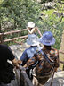 泉碧焱中老年人帽子女夏季媽媽漁夫遮陽帽薄款老太太沙灘旅行防曬太陽帽 帽邊印花【藍色】 透氣面料 曬單實拍圖