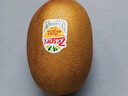 佳沛（zespri）新西蘭  陽光金奇異果10粒禮盒巨大果單果約144-175g 水果 獼猴桃 曬單實拍圖