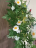 時鳥ins小雛菊假花仿真花掛墻墻面壁掛式綠植裝飾垂釣型植物藤條掛飾 雛菊壁掛帶帶掛鉤燈串蝴蝶裝飾 曬單實拍圖