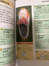 少年足球技術(shù)與訓練完全圖解 德甲看圖學(xué)意甲踢球少年足球青少年足球足球規則 曬單實(shí)拍圖