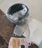 小熊（Bear）電飯煲 電飯鍋小2人家用1-2人智能預約1.2L多功能微壓小型迷你宿舍小鍋米飯鍋 DFB-B12L5 曬單實拍圖