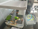 闊庭（KUOTING）烏龜缸桌面透明生態(tài)烏龜缸烏客廳水族箱白色 曬單實(shí)拍圖