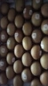 佳沛（zespri）新西蘭 新果季 陽光金奇異果33粒原箱單果重約101-114g 獼猴桃 曬單實拍圖