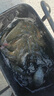 川澤羅非袖子線雙鉤碳線長柄成品魚鉤子線掛仕綁好防纏繞飛磕袖鉤套裝 8號鉤+碳線1.5+長65cm 【羅非無刺袖鉤20付】 曬單實拍圖