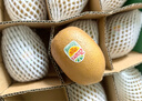 佳沛（zespri）新西蘭 陽光金奇異果12粒禮盒特大果單果約122-146g 獼猴桃 水果 曬單實拍圖