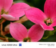 vivo X200 Ultra 16GB+1TB 衛(wèi)星通信版 紅圈 蔡司三大定焦大師鏡頭 藍(lán)圖自研影像雙芯 AI手機(jī) 曬單實拍圖