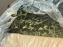 苜蓿草幼兔干草兔子糧食紫花豚鼠食飼料專用龍貓吃的兔糧提摩西草 紫花苜蓿草1KG箱裝(毛重) 曬單實(shí)拍圖