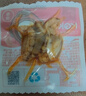 獐子島  大連特產(chǎn)香辣高蛋白即食夏夷貝扇貝250g 約50-65只夏夷貝大禮包 曬單實(shí)拍圖