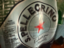 圣培露（S.Pellegrino）含氣天然礦泉水 500mlx24 塑料瓶暢享裝 意大利原裝進(jìn)口氣泡水 曬單實(shí)拍圖