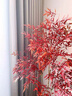 OEMG南天竹紅色高端輕奢仿真綠植客廳大型落地式裝飾擺件仿生植物假樹 【書房/公寓擺放】140cm靈動南天竹 白色大肚盆（送吊牌+椰絲） 曬單實(shí)拍圖