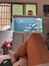 森森（SUNSUN）超白魚缸一體缸自循環(huán)客廳水族箱桌面家用懶人免換水小型金魚缸 超白HEJ250標(biāo)配 帶濾材+棉 曬單實(shí)拍圖