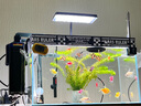 AMTRA TECHNIK德國(guó)安彩壁掛過(guò)濾器ex350小型魚(yú)缸過(guò)濾器烏龜缸壁掛式凈水 EX350 標(biāo)準(zhǔn)版【內(nèi)含濾材】 曬單實(shí)拍圖