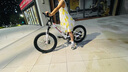 喜德盛中國風(fēng)20寸青少年山地自行車男女生7速碟剎變速車白鐳射紅 曬單實(shí)拍圖