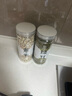 北京同仁堂原料綠豆百合蓮子組合陳皮薏米湯羹消暑清涼綠豆湯500g新貨豆子粗 [家庭裝]綠豆+薏米[各250g] 曬單實拍圖