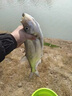 YGK PE JPX12編五彩pe線路亞專用主線正品ygkpe super遠(yuǎn)投順滑大力馬釣魚線 12編進(jìn)口原絲【100米】炫彩 0.6【0吸水】 曬單實(shí)拍圖