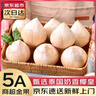 優(yōu)味集【京東直送】椰皇6粒椰子肉椰汁牛奶白椰青新鮮奶椰水果孕婦4/2粒 6顆 嚴選大果（單果350g+） 曬單實(shí)拍圖