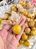 東北姑娘果精品新鮮水果3斤菇娘果大果燈籠果過年水果東北姑娘果G 凈重3斤【50%家庭選擇】 曬單實拍圖
