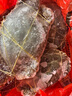 舟山梭子蟹鮮活特大野生大螃蟹新鮮冷凍海鮮水產(chǎn)海蟹飛蟹白蟹順豐 7-9兩/只【5斤凈重 特大肥壯】 曬單實(shí)拍圖