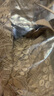 千奈美抹胸內(nèi)衣女背心式無鋼圈性感蕾絲薄款收副乳美背胸罩 隱形膚 2XL  曬單實(shí)拍圖