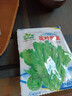 紅莧菜種子圓葉速生蔬菜種子汗菜籽陽臺庭院超耐熱蔬菜種子大全 中葉筒篙皇帝菜約2000粒1包 曬單實拍圖