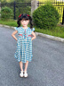 FIDQIOG國際品牌夏季新款女童公主裙胖小女孩可愛連衣裙2025 藍色【格子款】 【現(xiàn)貨速發(fā)】 140 cm 曬單實拍圖