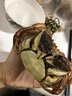 【活蟹】陽澄戰(zhàn)地大閘蟹 鮮活大螃蟹可全母蟹 海鮮水產(chǎn)生鮮禮盒 公4.0-4.3兩母3.0-3.3兩4對8只 曬單實(shí)拍圖