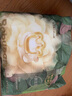 babycare金山茶花拉拉褲XXXXL26片(＞19kg)嬰兒尿不濕超薄透氣輕柔花苞褲 曬單實(shí)拍圖