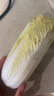 甜心小娃娃菜550g 曬單實拍圖