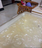 立白精品青提茉莉洗潔精1kg 高效去油除味洗滌劑寶寶餐具果蔬食品適用 曬單實(shí)拍圖