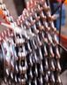 鏈條潤(rùn)滑油自行車(chē)摩托車(chē)鏈條防銹潤(rùn)滑劑山地車(chē)清潔養(yǎng)護(hù)軸承齒輪油 【高純度】一滴超潤(rùn)滑 450ML5瓶裝 曬單實(shí)拍圖