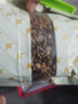 新益號茶葉滇紅茶特級蜜香金螺紅茶2025年新茶云南鳳慶古樹(shù)茶禮盒裝250g 曬單實(shí)拍圖
