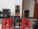 派揚(yáng)PAIYON派揚(yáng)P6發(fā)燒HIFI書架音箱響原裝進(jìn)口原vifa喇叭無源高保真 P6花梨木音箱一對(duì) 曬單實(shí)拍圖